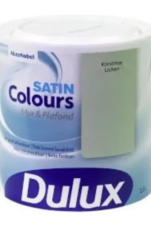Populair Dulux Colours Mur & Plafond Mat
